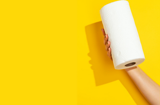 Elitsoft Tissue Paper Towel